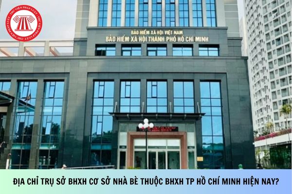 Pháp luật