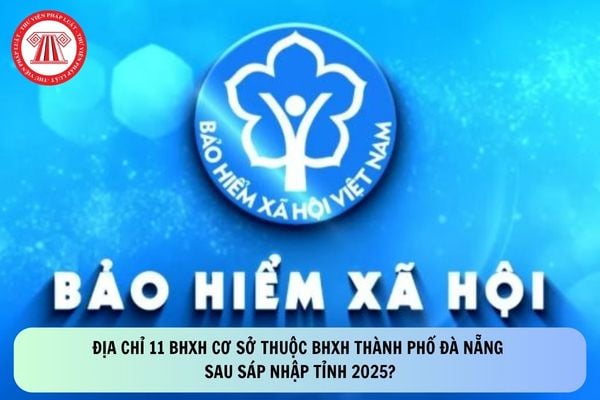 Pháp luật