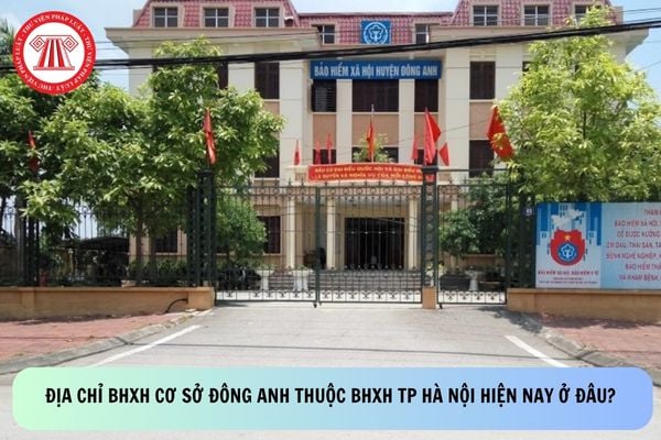 Pháp luật