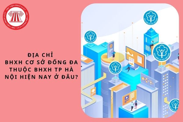 Pháp luật