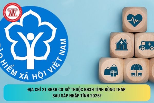 Pháp luật