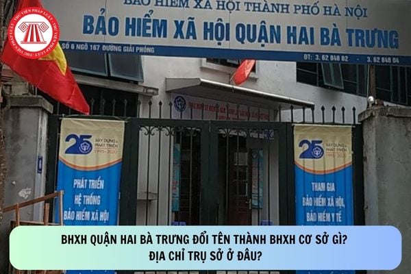 Pháp luật