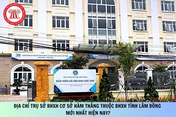 Pháp luật