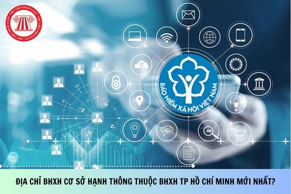 Pháp luật