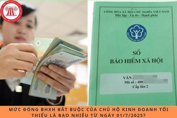 Pháp luật