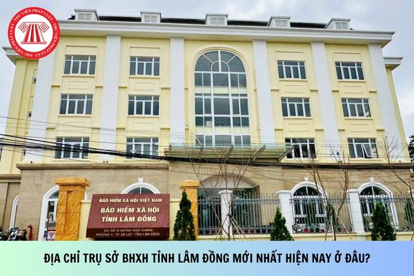 Pháp luật