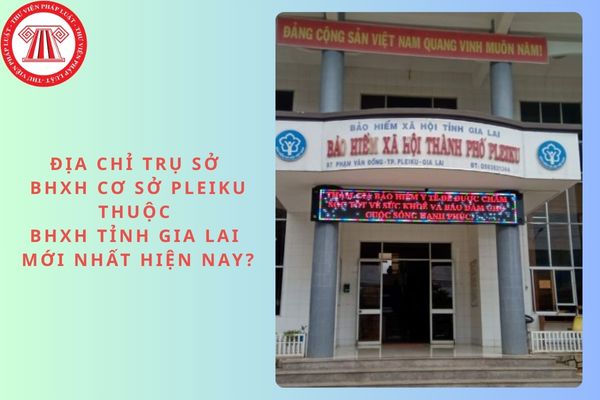 Pháp luật