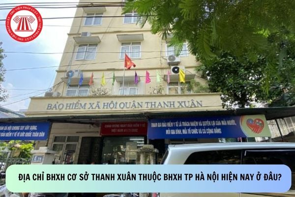 Pháp luật
