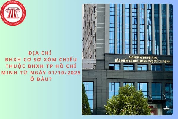 Pháp luật