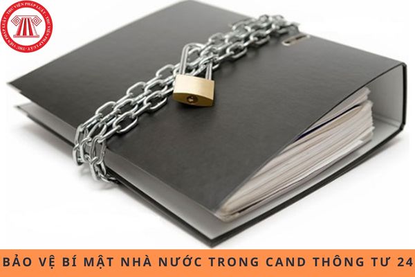 Pháp luật