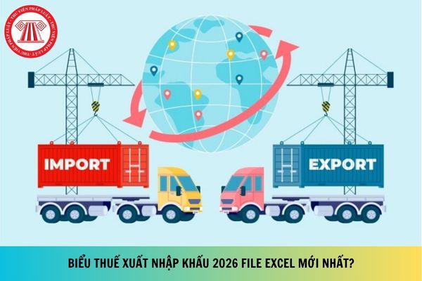 Biểu thuế xuất nhập khẩu 2026 File Excel mới nhất?