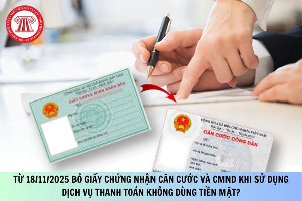 Pháp luật