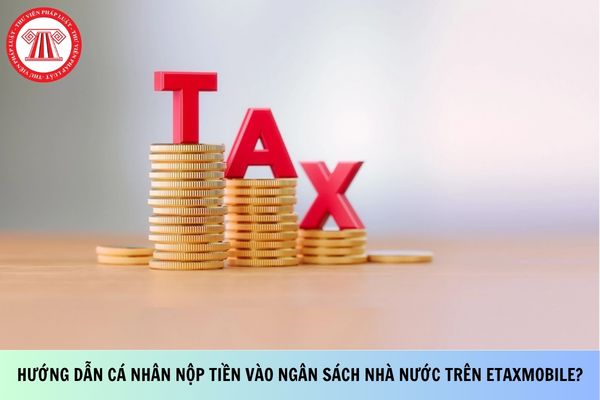 Pháp luật