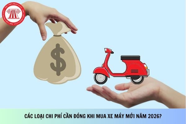 Pháp luật