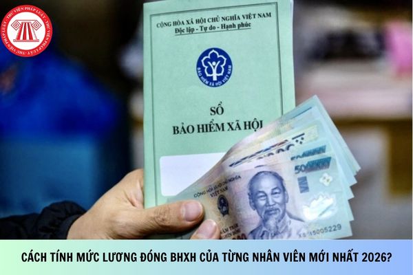 Cách tính mức lương đóng BHXH của từng nhân viên mới nhất 2026?