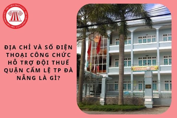 Pháp luật