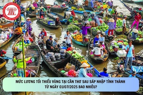Pháp luật