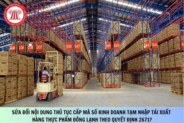 Pháp luật