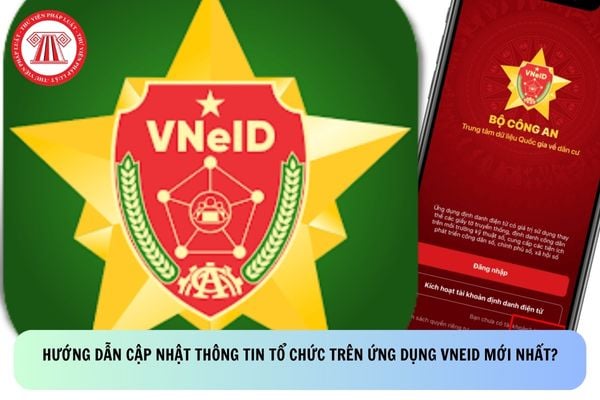Pháp luật