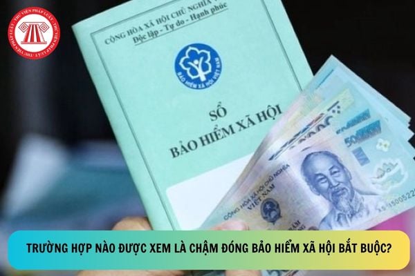 Pháp luật