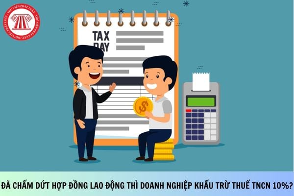Pháp luật