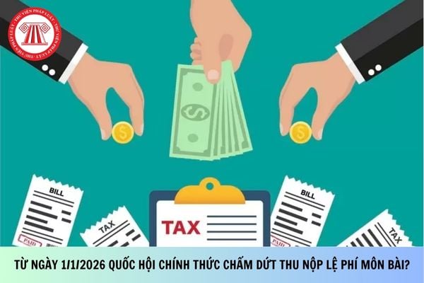 Pháp luật