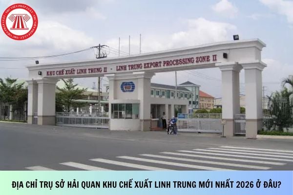 Pháp luật