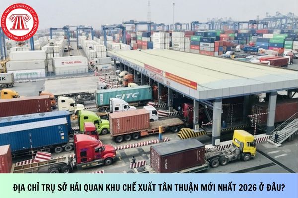 Pháp luật