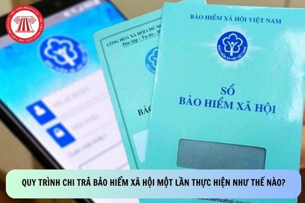 Pháp luật