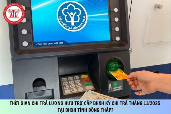 Pháp luật