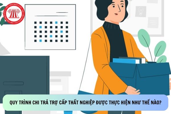 Pháp luật