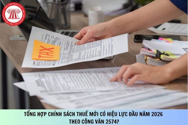 Pháp luật