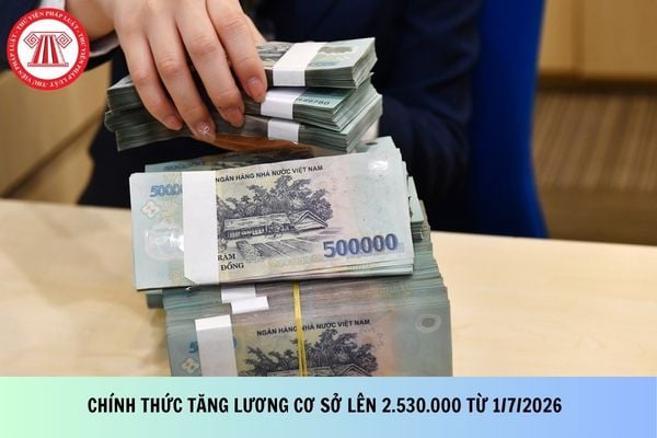 Pháp luật