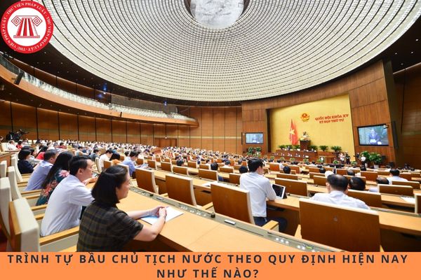 Pháp luật