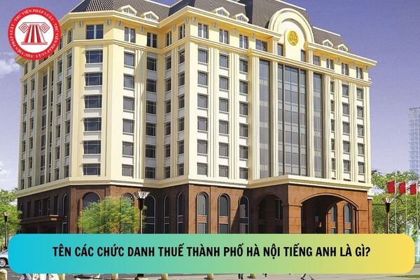 Pháp luật