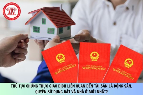 Pháp luật