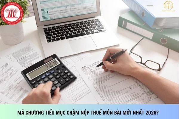 Pháp luật