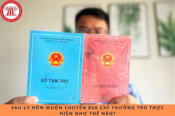 Pháp luật