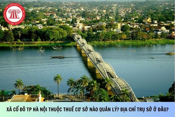 Pháp luật