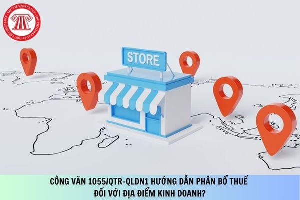 Công văn 1055/QTR-QLDN1 hướng dẫn phân bổ thuế đối với địa điểm kinh doanh?