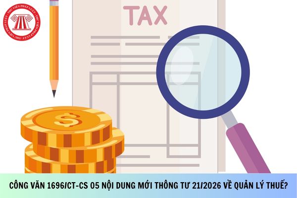 Pháp luật
