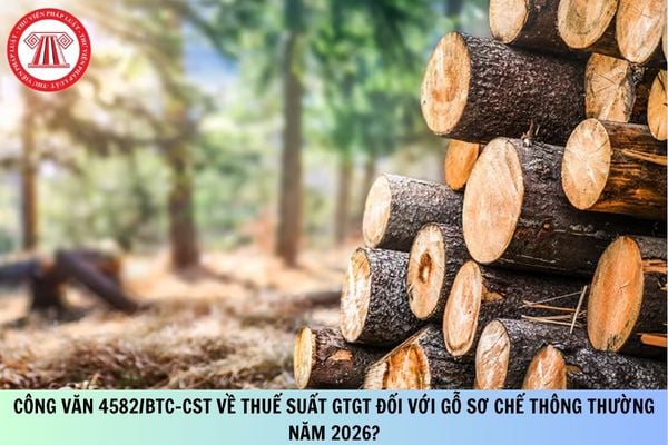 Công văn 4582/BTC-CST về thuế suất GTGT đối với gỗ sơ chế thông thường năm 2026?