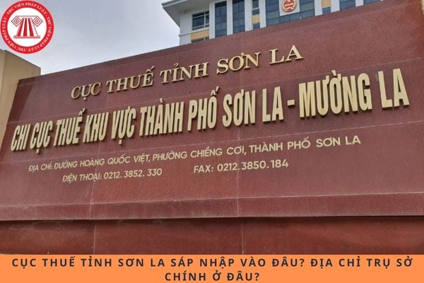 Pháp luật