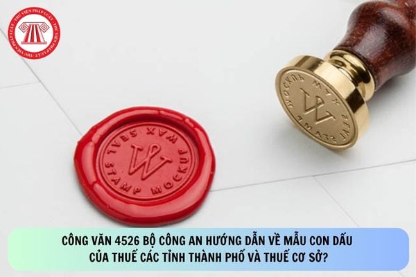 Pháp luật