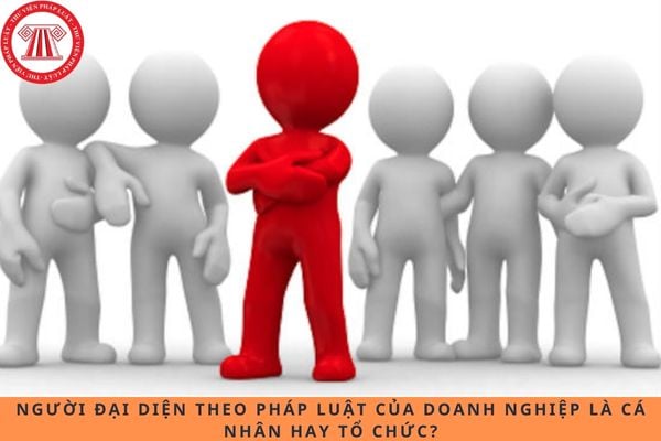 Người đại diện theo pháp luật của doanh nghiệp là cá nhân hay tổ chức?