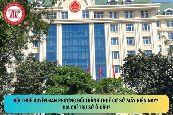 Pháp luật