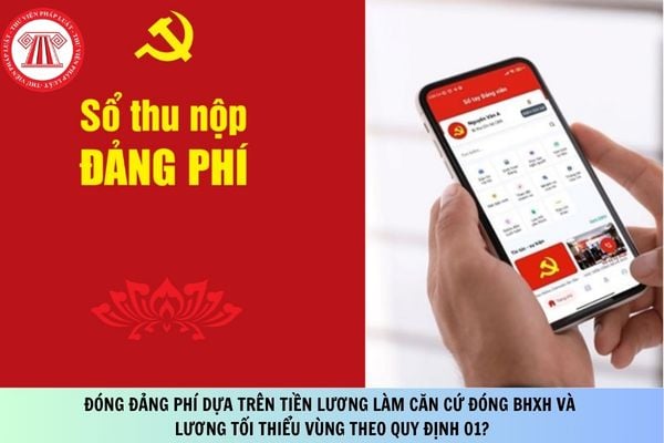 Pháp luật
