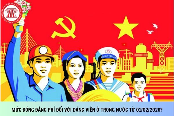 Pháp luật