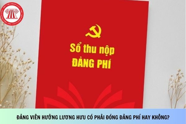Pháp luật
