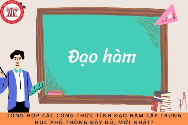 Pháp luật